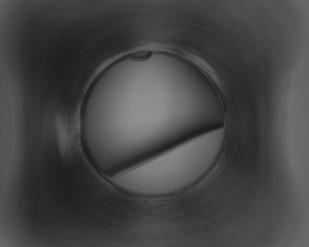 X0000101171428200806270744