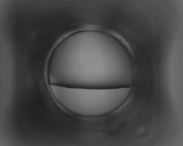 X0000101171429200806270744