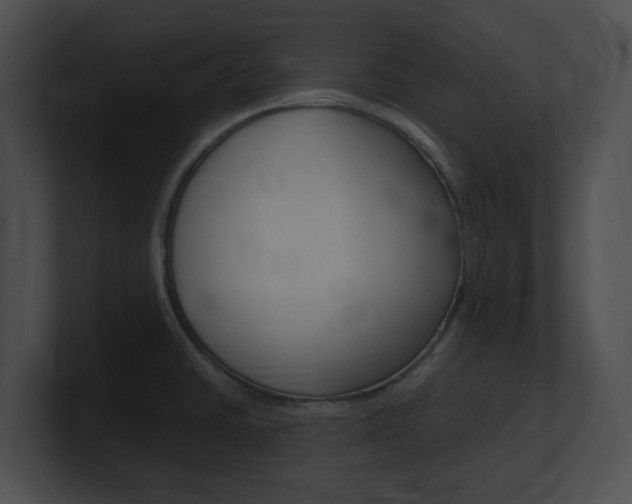 X0000101171430200806270744