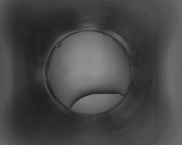 X0000101171431200806270744