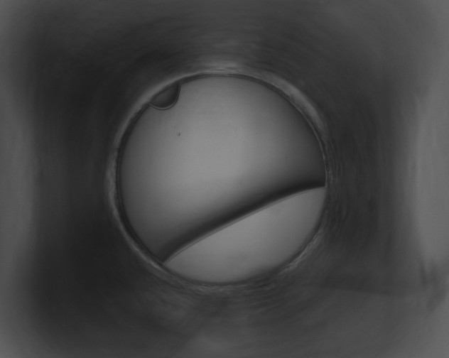 X0000101171432200806270744