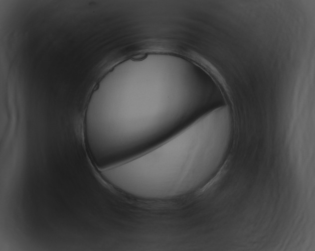 X0000101171433200806270744