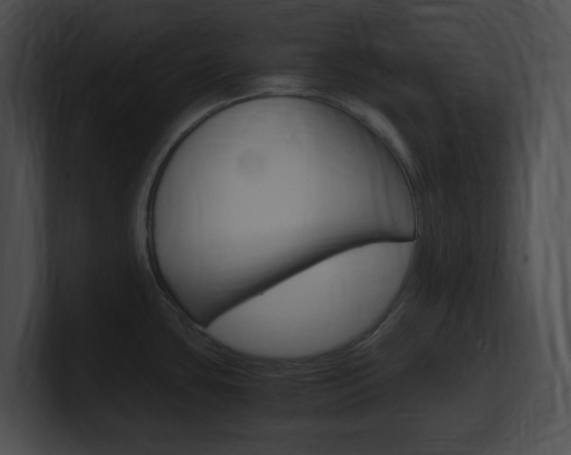 X0000101171435200806270744