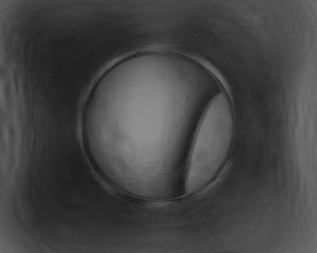 X0000101171437200806270744