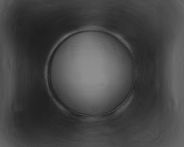 X0000101171438200806270744