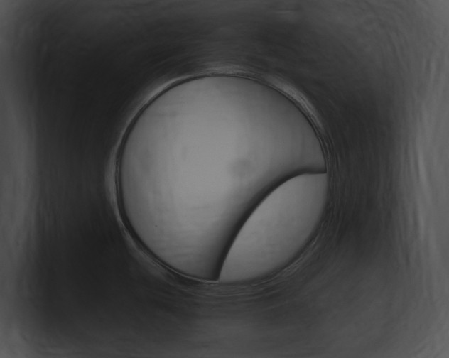 X0000101171439200806270744