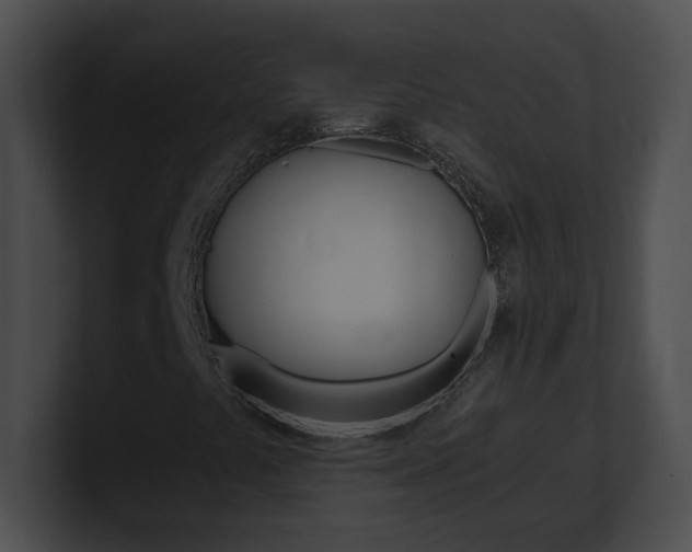 X0000101171441200806270744