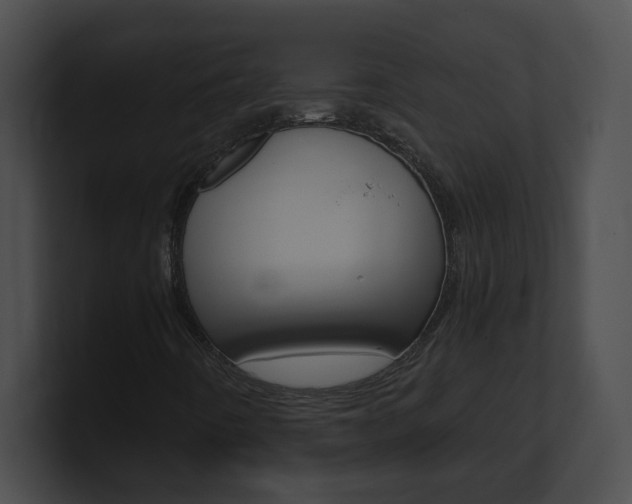 X0000101171442200806270744