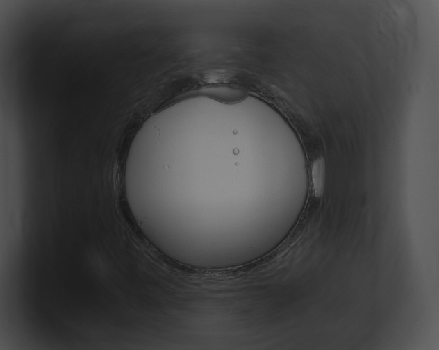 X0000101171443200806270744