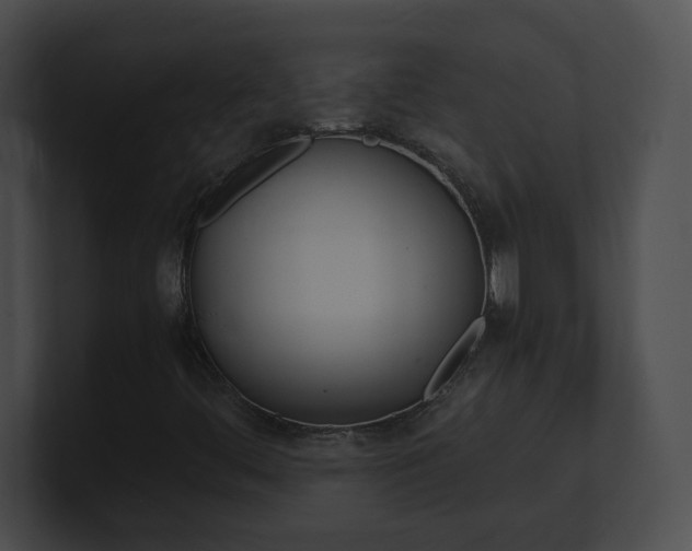 X0000101171444200806270744