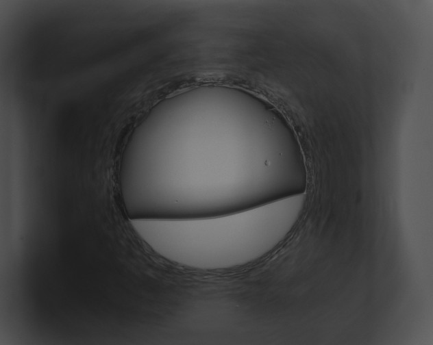 X0000101171445200806270744