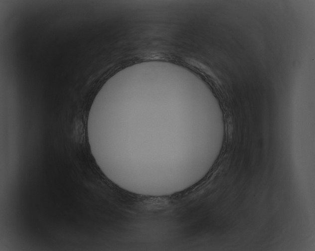 X0000101171446200806270744