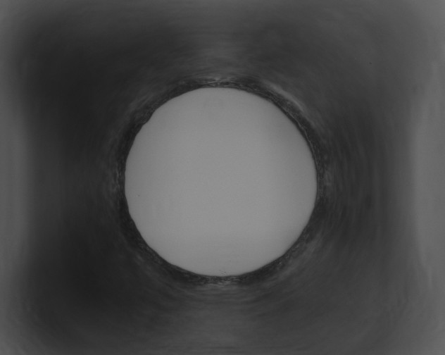 X0000101171447200806270744