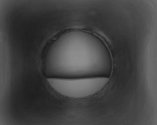 X0000101171448200806270744