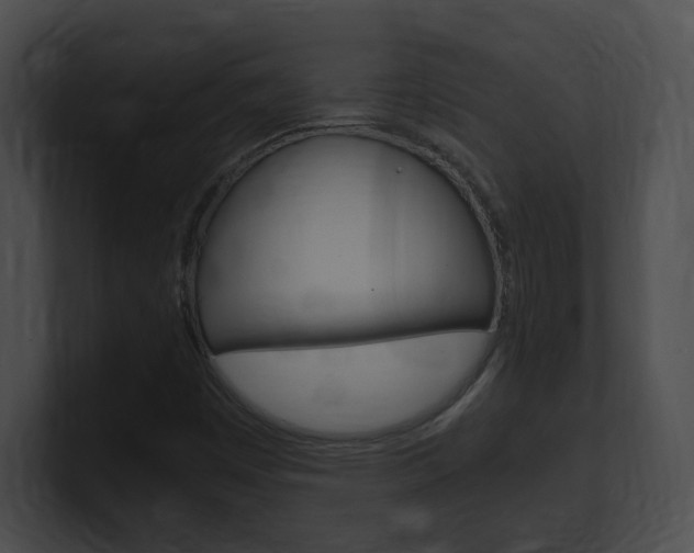 X0000101171449200806270744