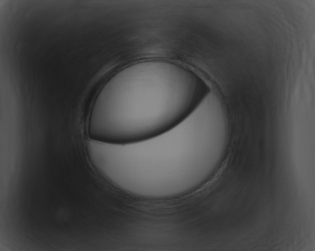 X0000101171450200806270744