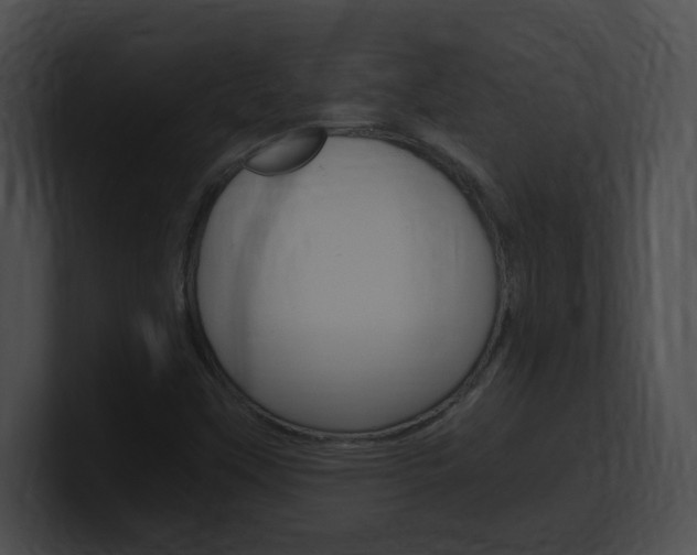 X0000101171451200806270743