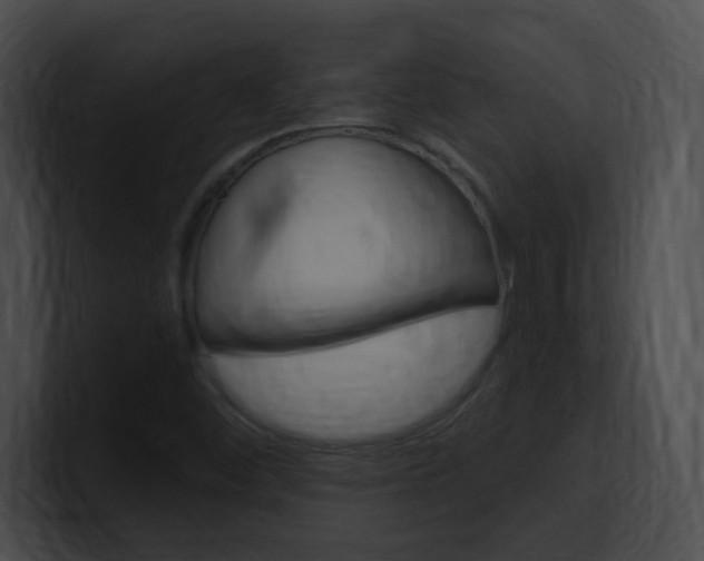 X0000101171452200806270743