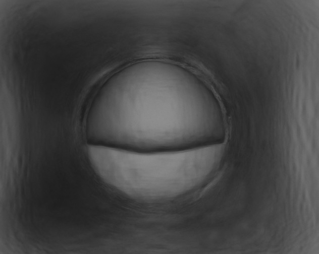 X0000101171453200806270743