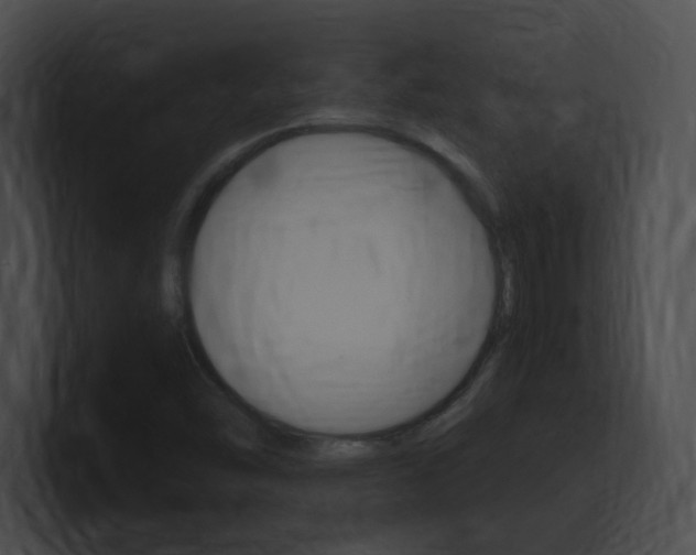 X0000101171454200806270743