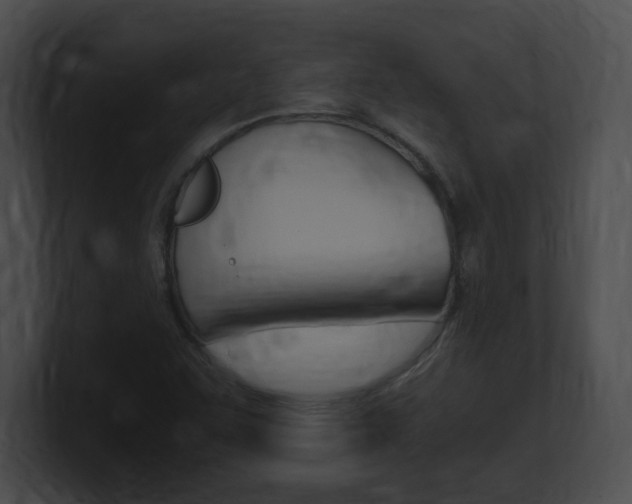 X0000101171455200806270743