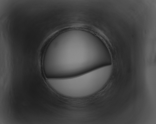 X0000101171456200806270743
