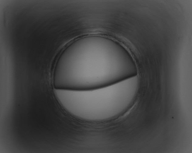 X0000101171457200806270743