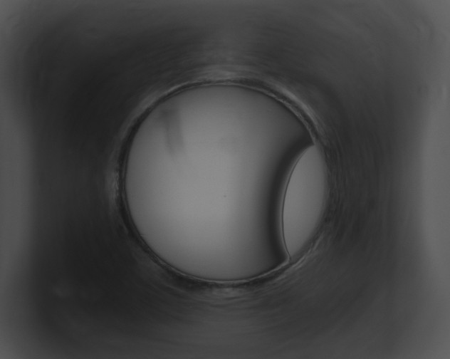 X0000101171459200806270743