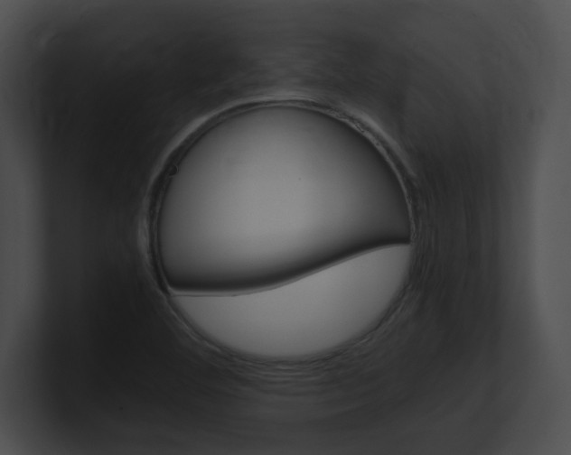 X0000101171460200806270743