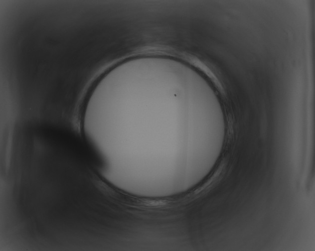 X0000101171462200806270743