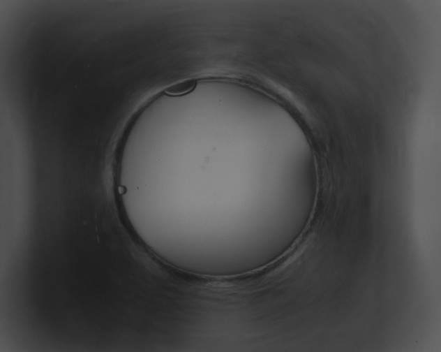X0000101171463200806270743