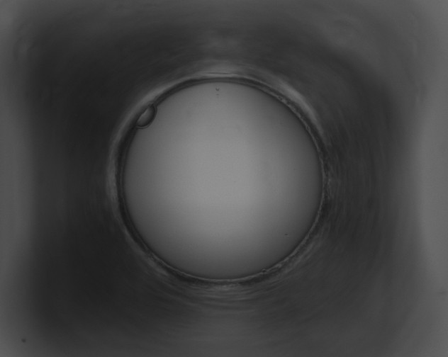 X0000101171464200806270743