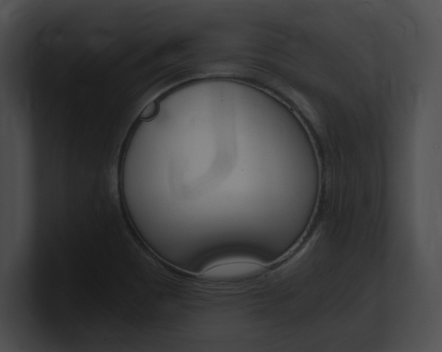 X0000101171465200806270743