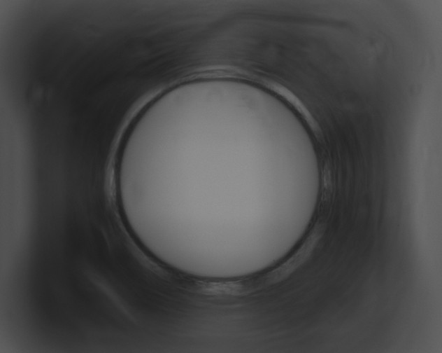 X0000101171466200806270743