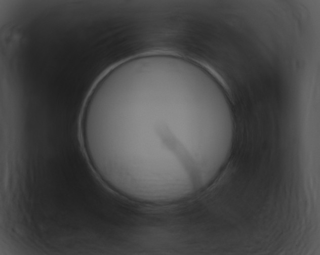 X0000101171468200806270743