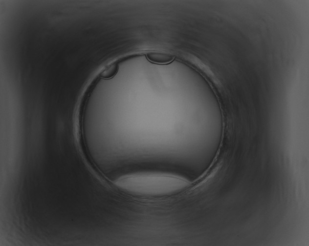 X0000101171469200806270743