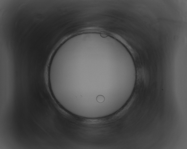 X0000101171474200806270743