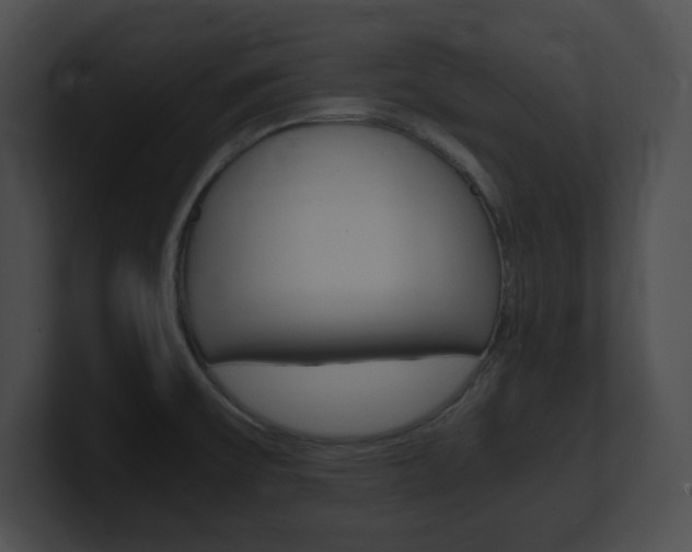 X0000101171475200806270743