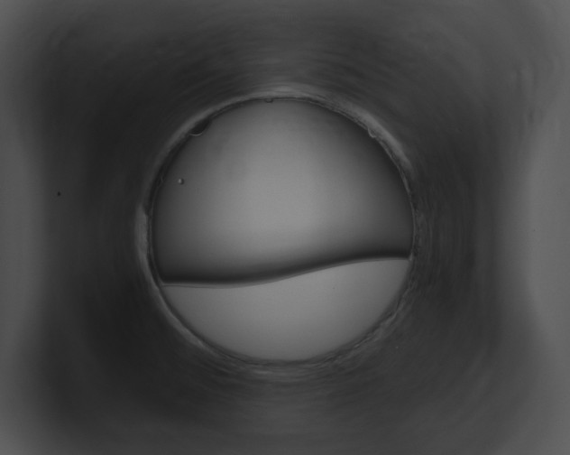 X0000101171476200806270743