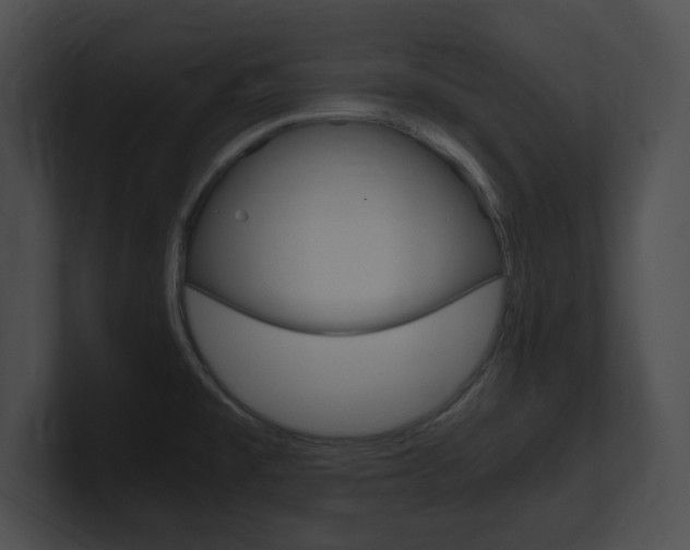 X0000101171477200806270743