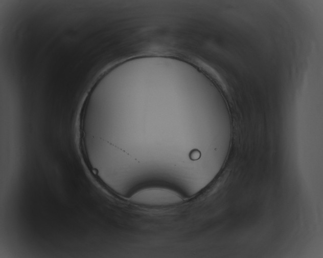 X0000101171479200806270743