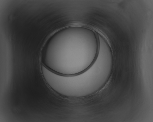 X0000101171481200806270743
