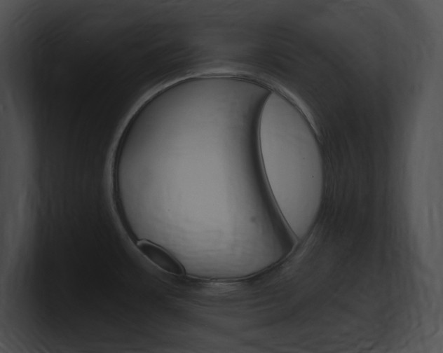 X0000101171483200806270743