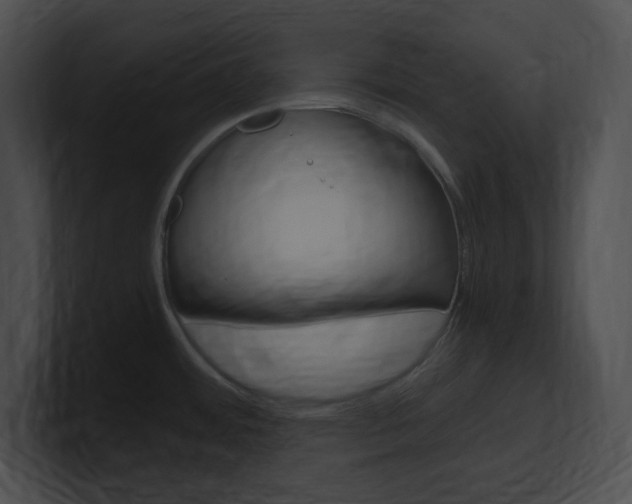 X0000101171484200806270743
