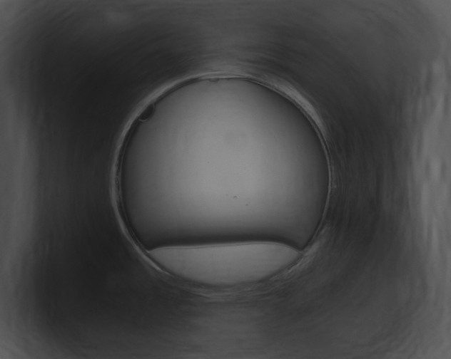 X0000101171485200806270743