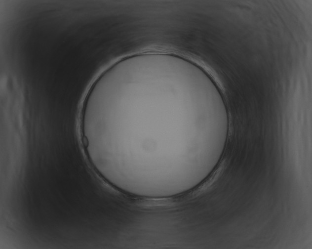 X0000101171486200806270743