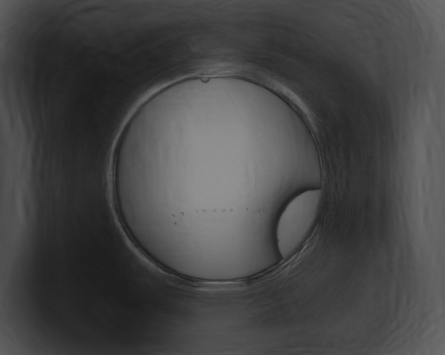 X0000101171487200806270743
