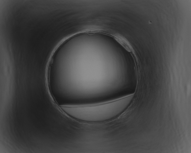 X0000101171488200806270743