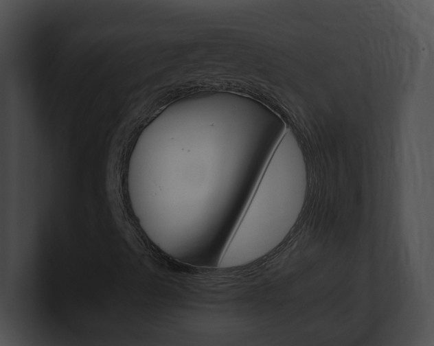 X0000101171489200806270742