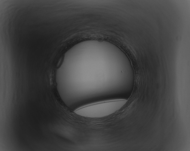 X0000101171490200806270742